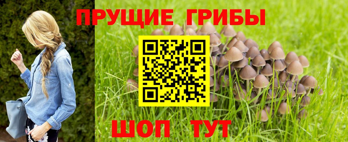 Псилоцибиновые грибы GOLDEN TEACHER Вязьма